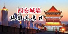 免费看女生逼的软件中国陕西-西安城墙旅游风景区