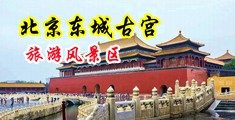 男生和女生艹的软件中国北京-东城古宫旅游风景区