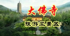 粉色逼我操中国浙江-新昌大佛寺旅游风景区